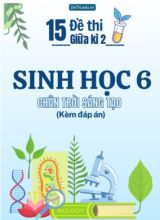 Tuyển tập 15 Đề thi giữa Kì 2 môn Sinh Học 6 sách Chân Trời Sáng Tạo (Kèm đáp án)